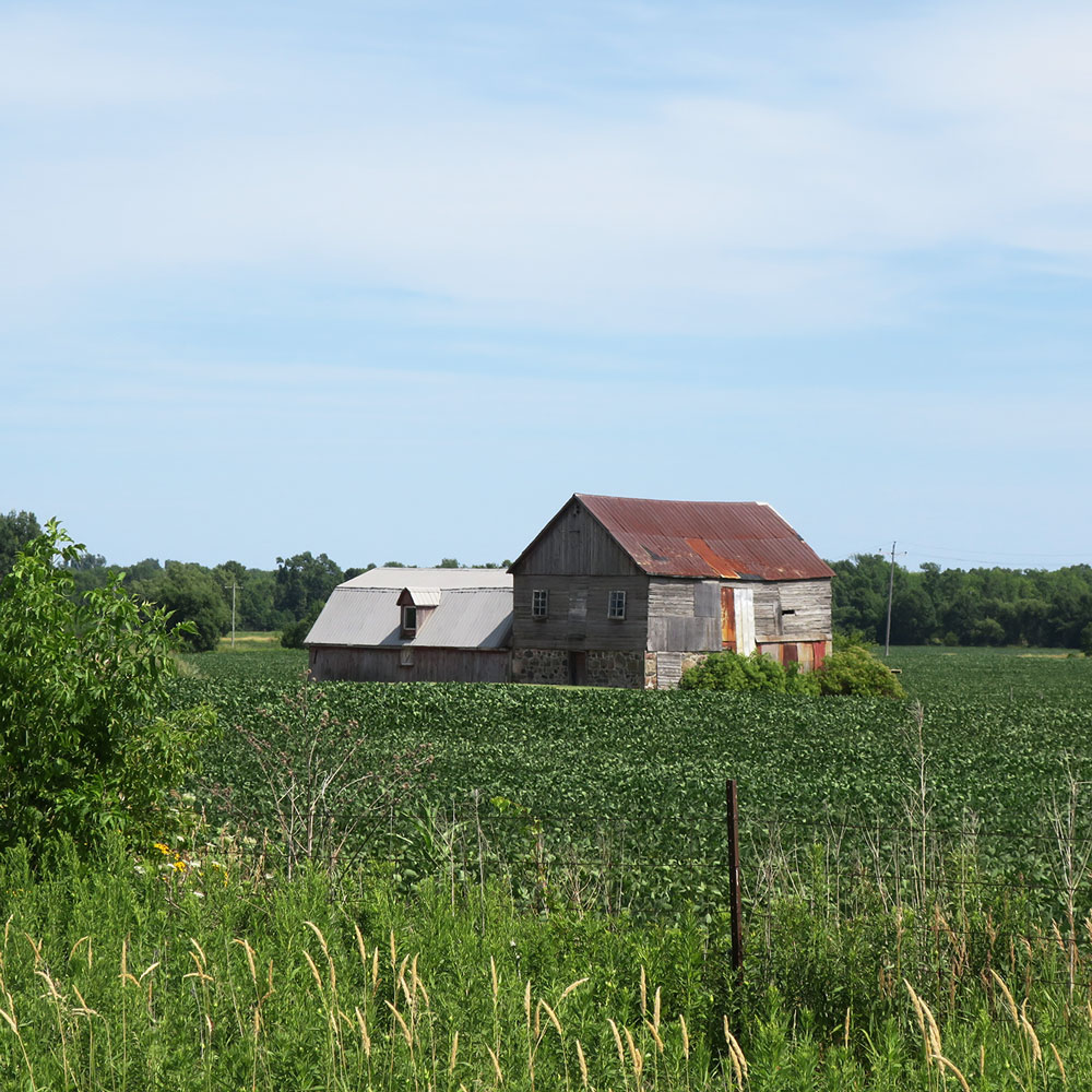 IMG_0115_1