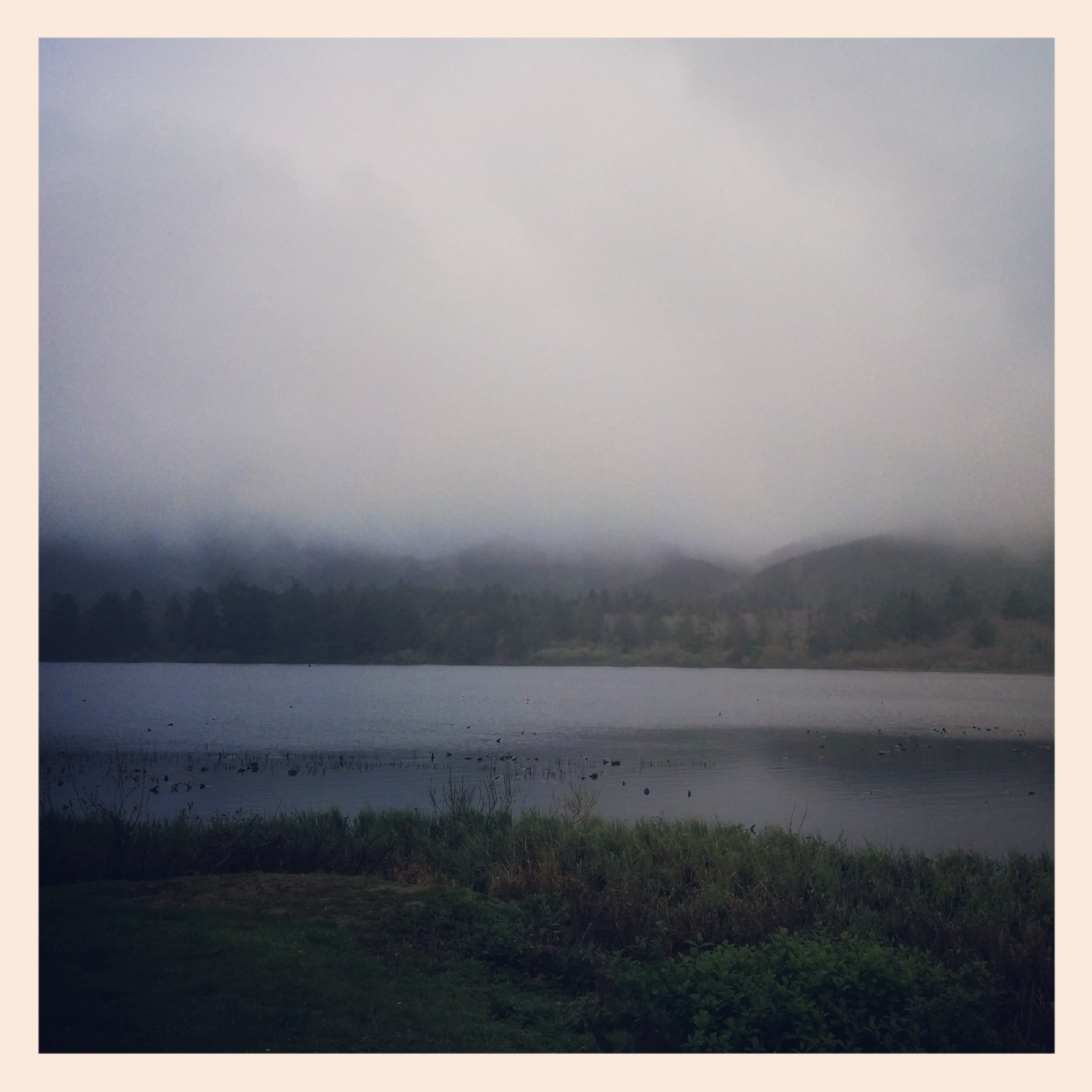 So I left! Here is a nice view of the Tillamook river as I was heading west.