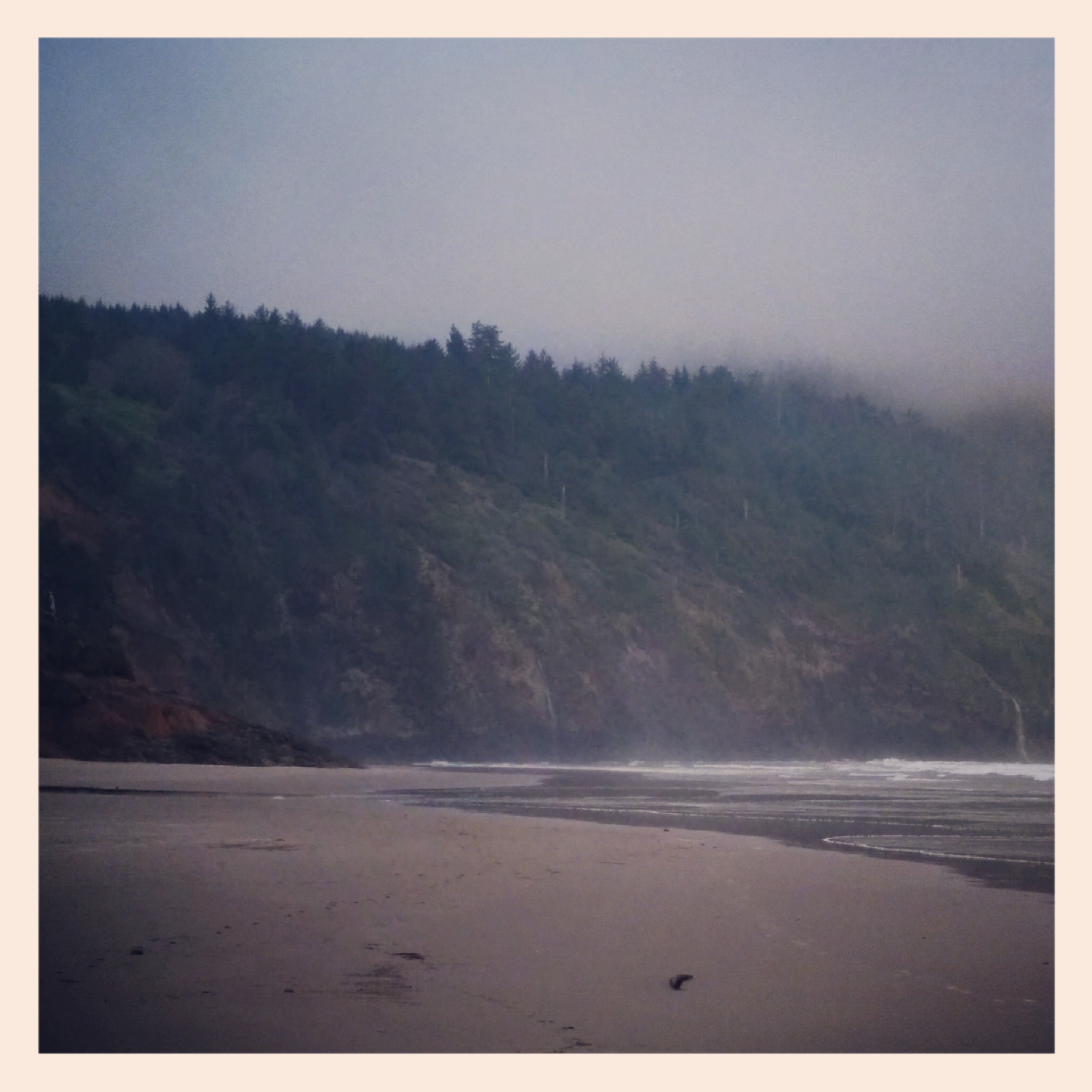 
Oh and I met my second biker today here at Cape Lookout. A nice kid named Eric from Bellingham. He's also has the same destination but is using a different source so I might run into him too or might not... Thems the breaks...