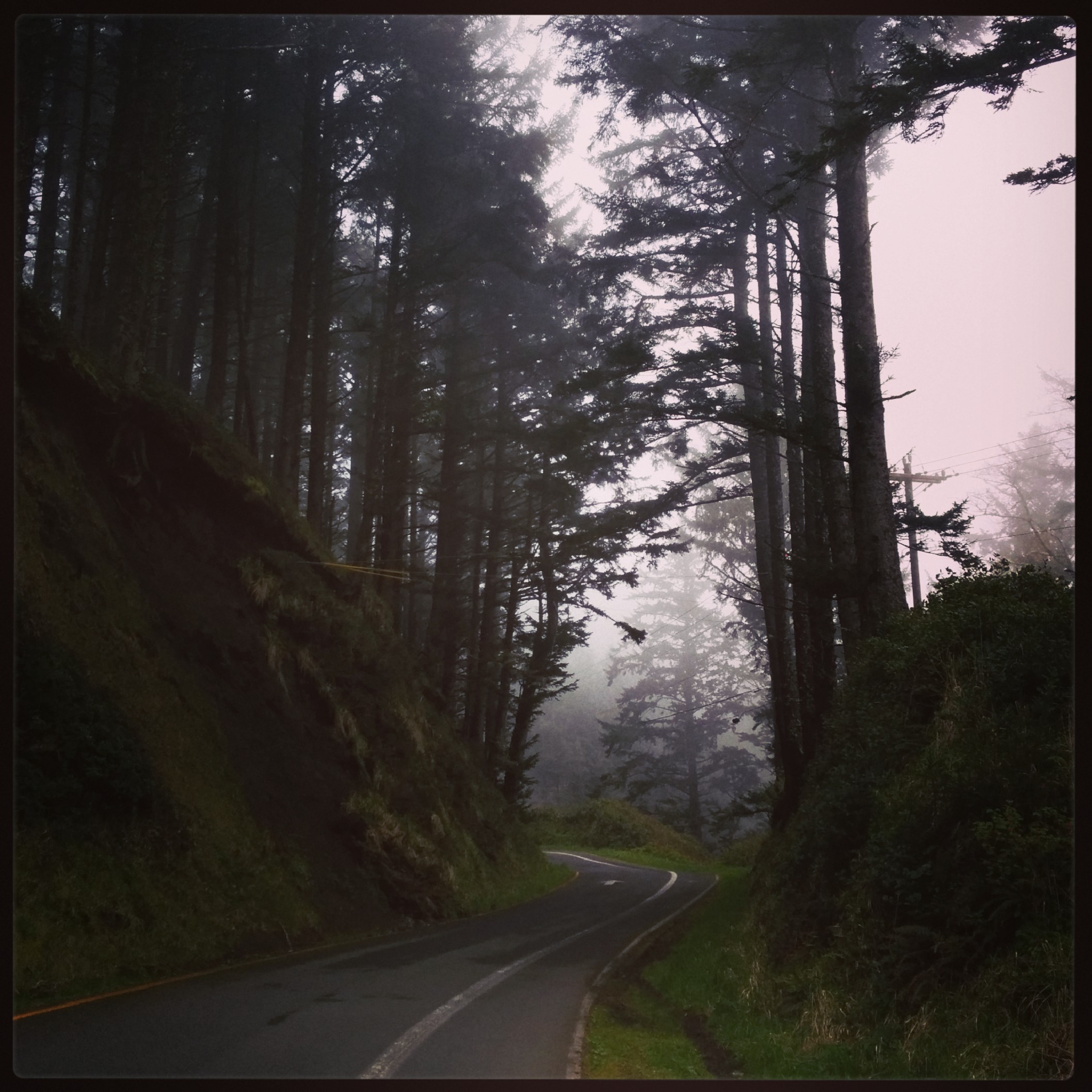 I took the Otter Crest Loop just before Otter Rock to get off the main road and see quieter scenery it didn't disappoint.