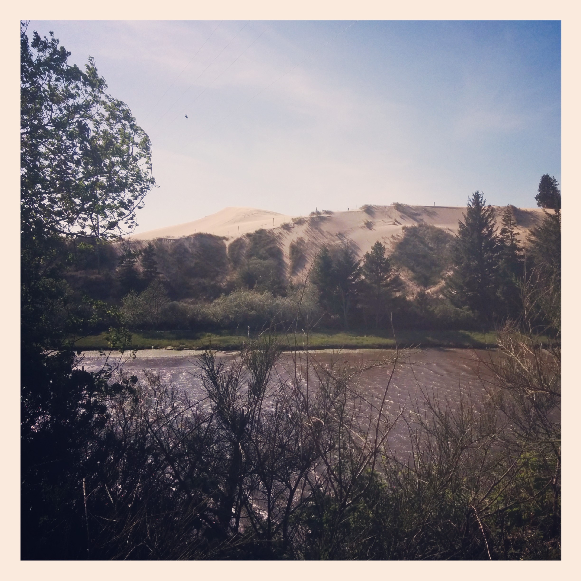 Was planning on camping outside of Hauser but decided to go on partly because I felt great like I could ride another 65 miles and partly because I'm morally opposed to staying in commercial RV parks.

Right before I took the long bridge over to North Bend I snapped this picture of the back side of the Oregon Dunes. Looks like it would be fun to zip around in one of those cool dunebuggies.