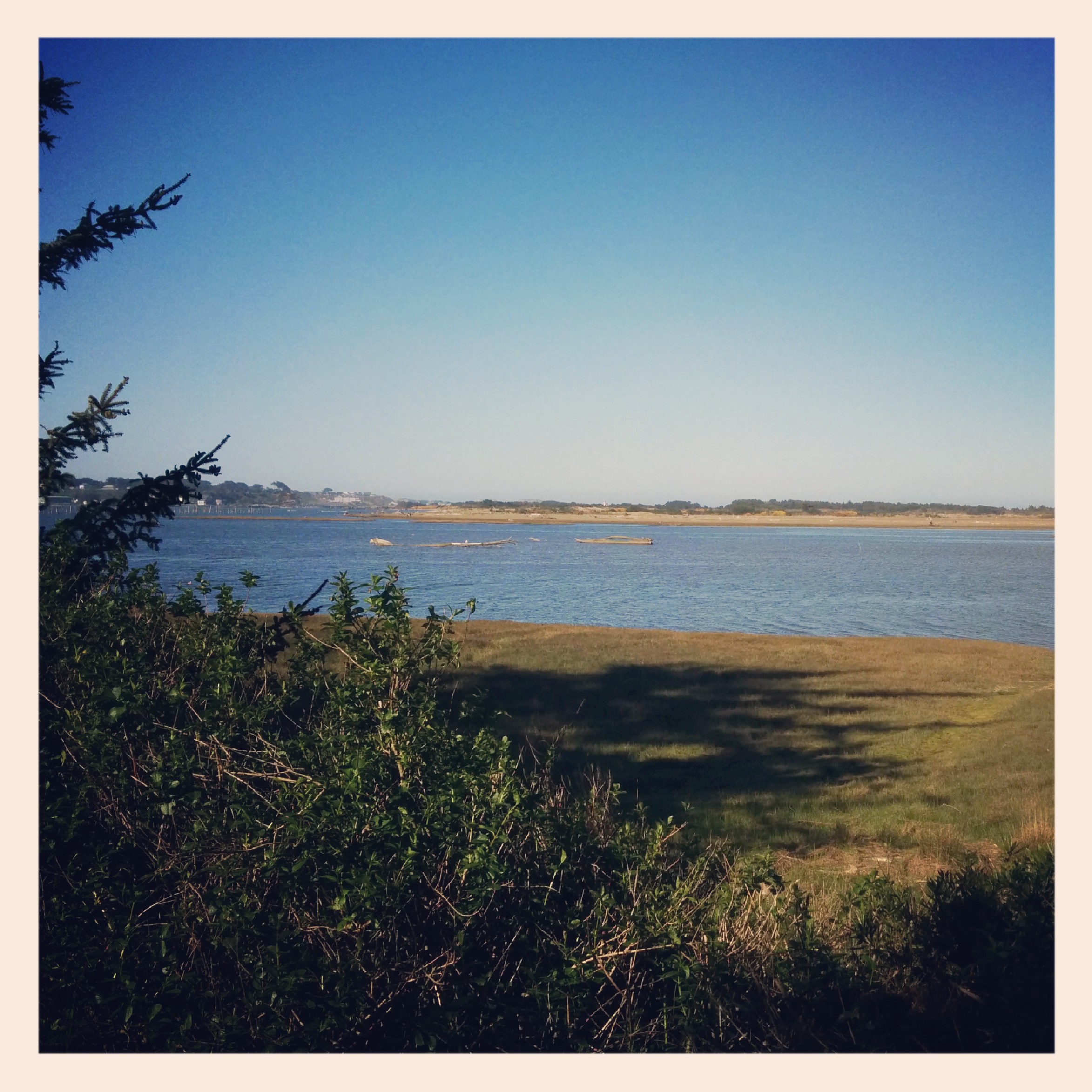 Took a back road into Bandon coming in on the Old Bandon side which was really cute. Passed by the Bandon Marsh on the way.