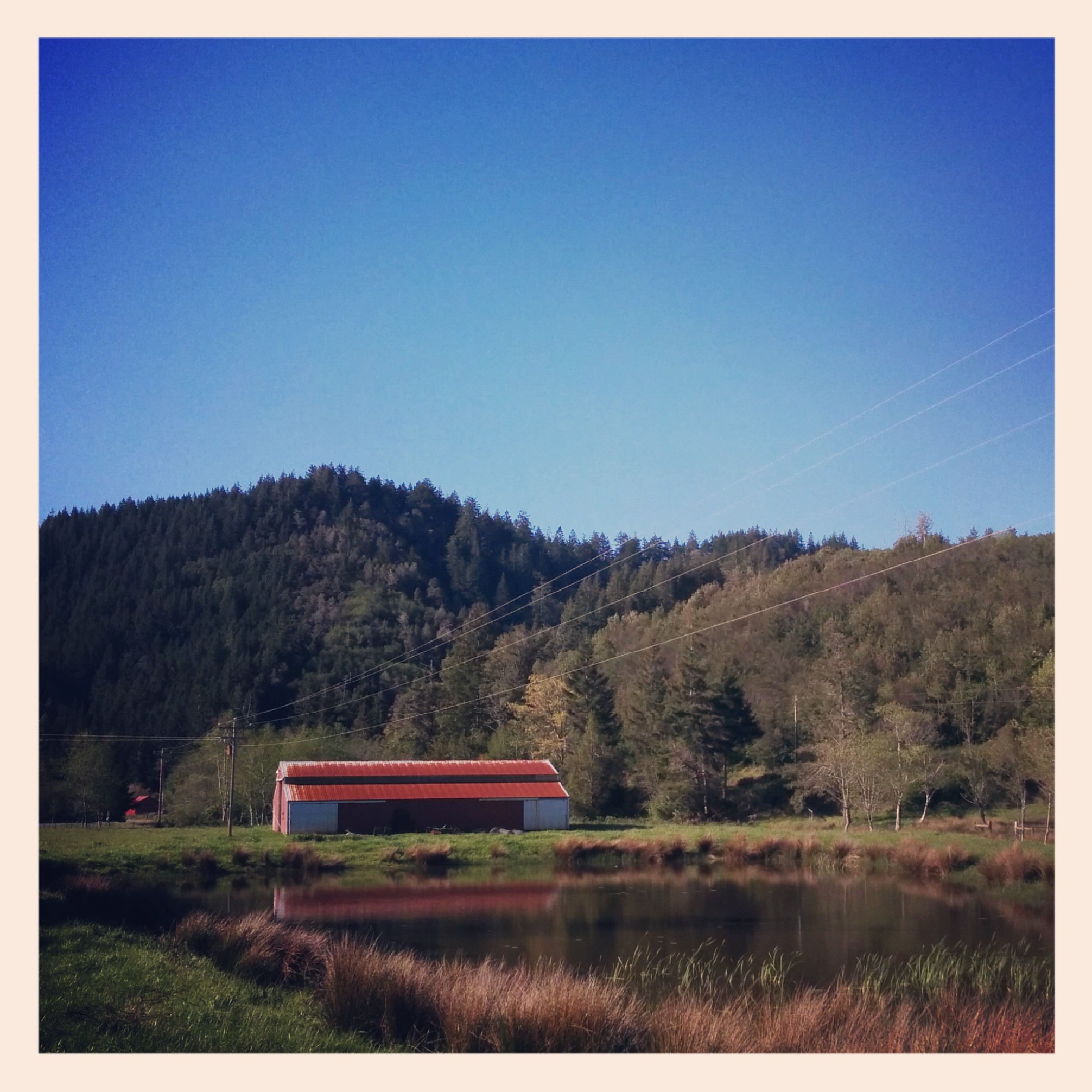 At Ophir I detoured of the highway at rode an inland route that was little used and pleasant. I ran into my first northbound cycle touring on this road. He was heading from LA to Portland so was almost finished. Wished him luck and went on my way.