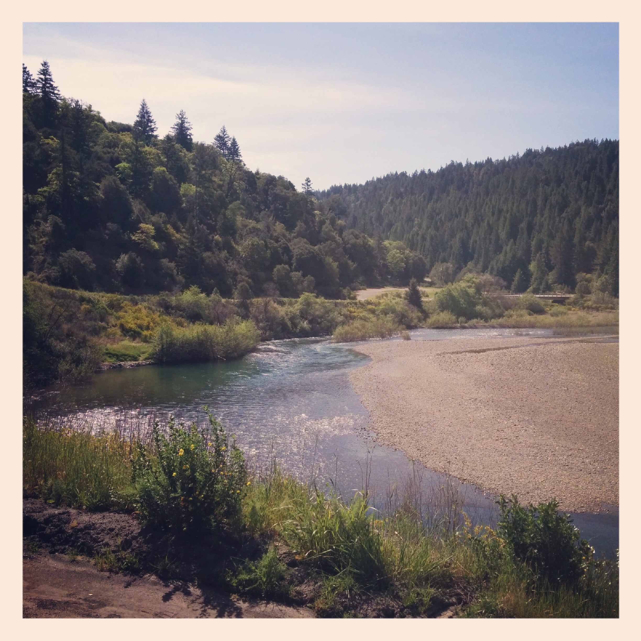 Poor little Eel river struggling with the drought :(