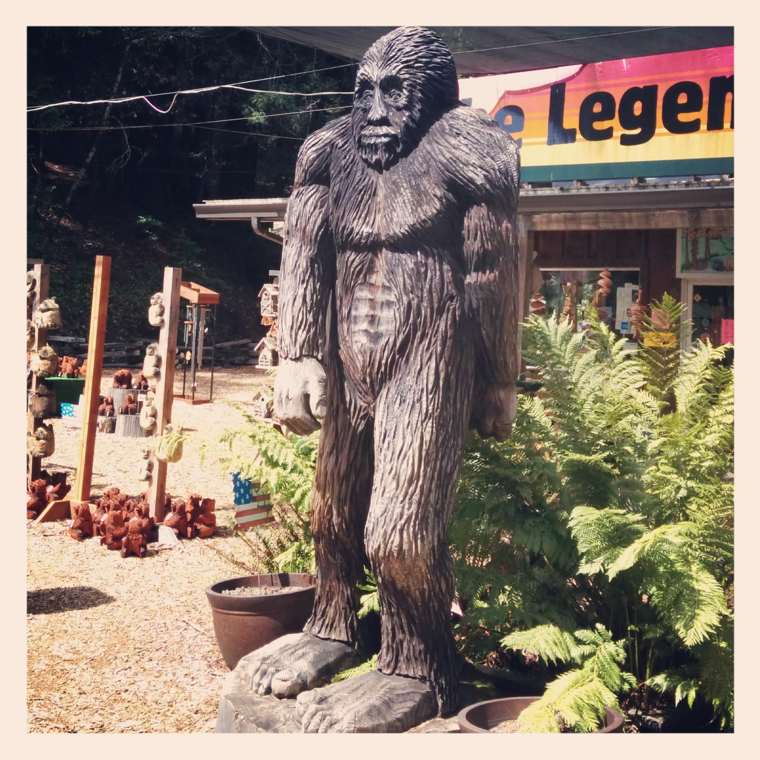 Then it was up through the mountains to Leggett where I found Bigfoot hangout out hiding in plain sight in front of a souvenir shop.