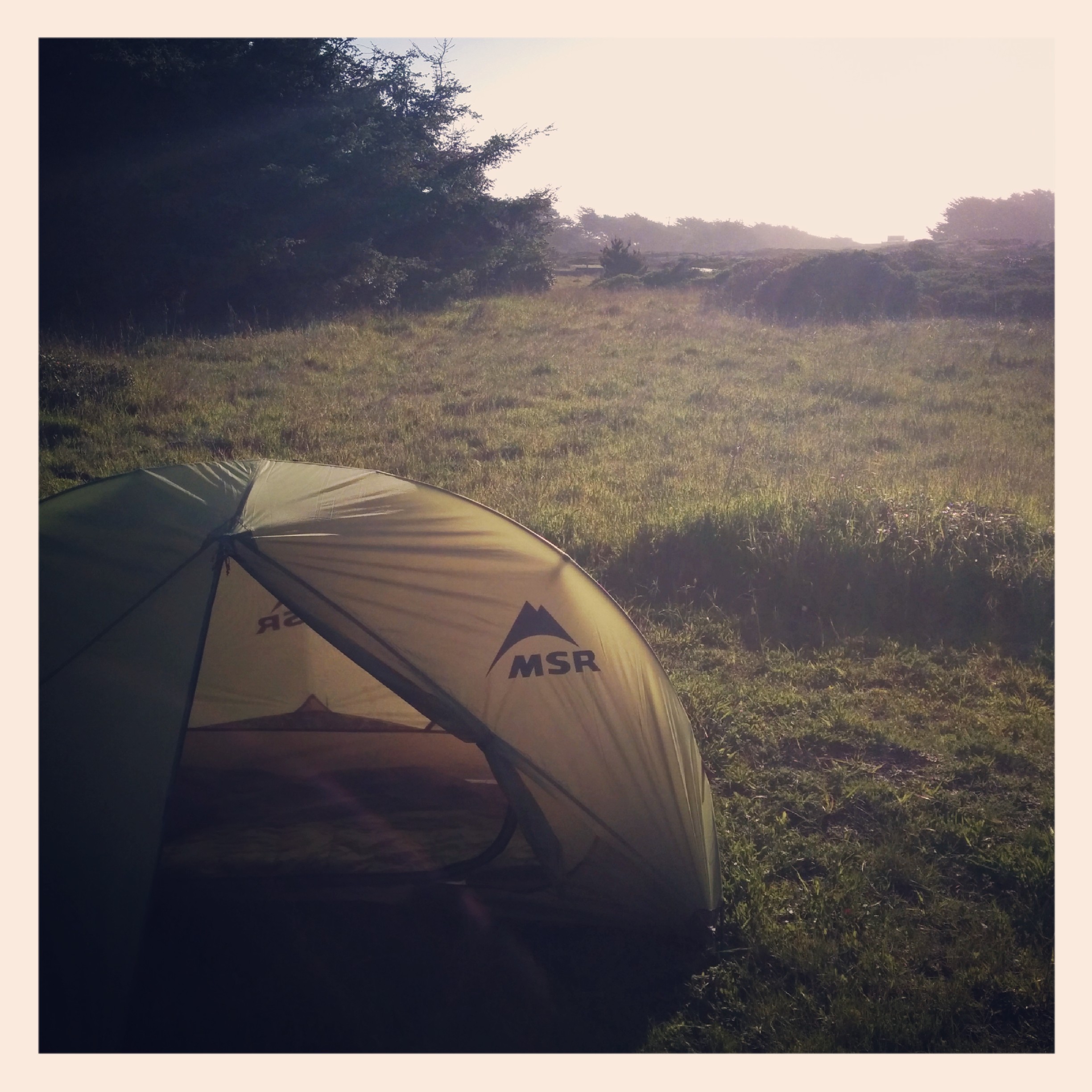 Which brings me here my home for the night Manchester Beach State Park. I can hear the ocean and it's peaceful.