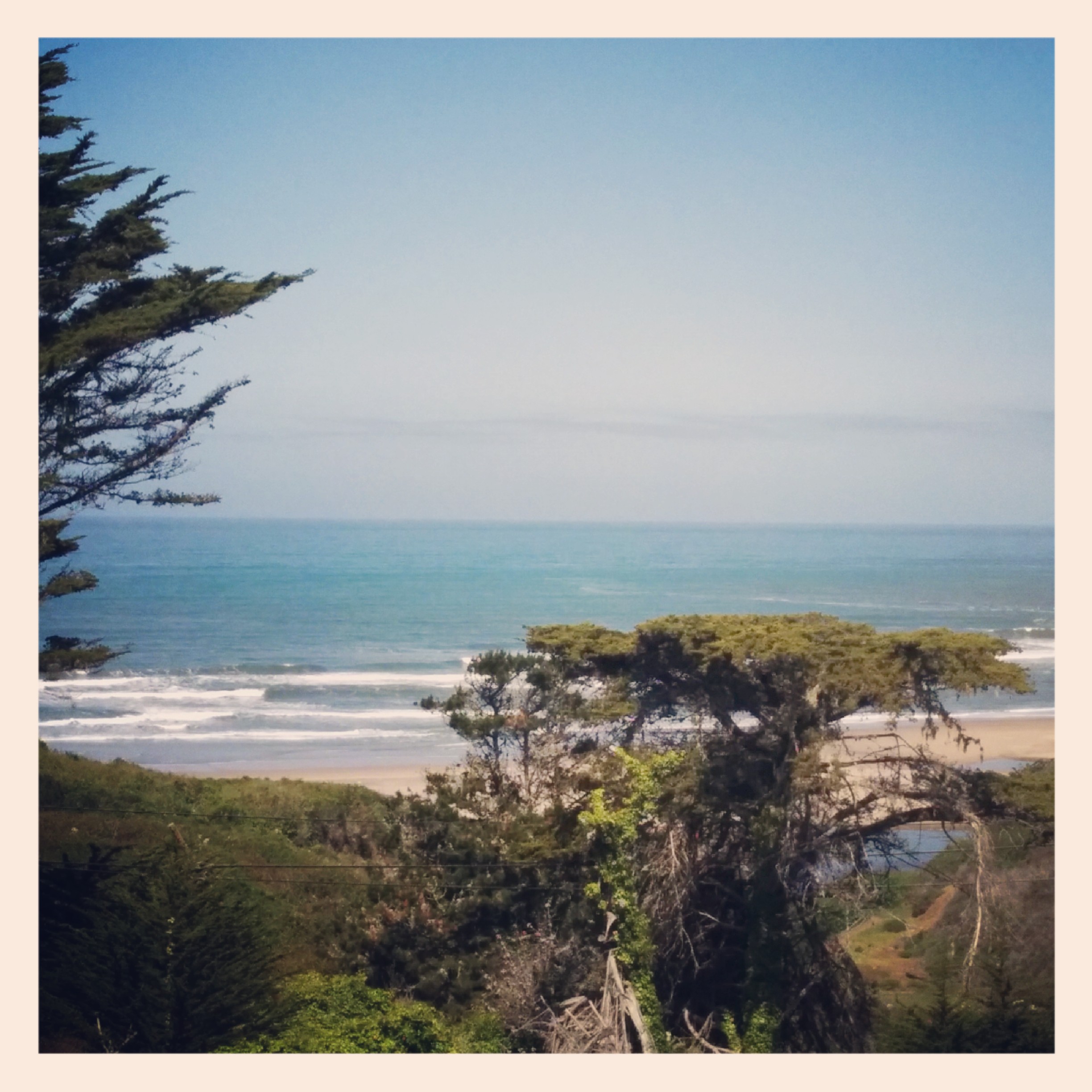 The road from Half Moon Bay to Santa Cruz was beautiful. It was hilly at first then became pretty fast. There were a lot of snobby cyclists out and a few nice ones too :) met a a couple tourers (I thought there'd be more).