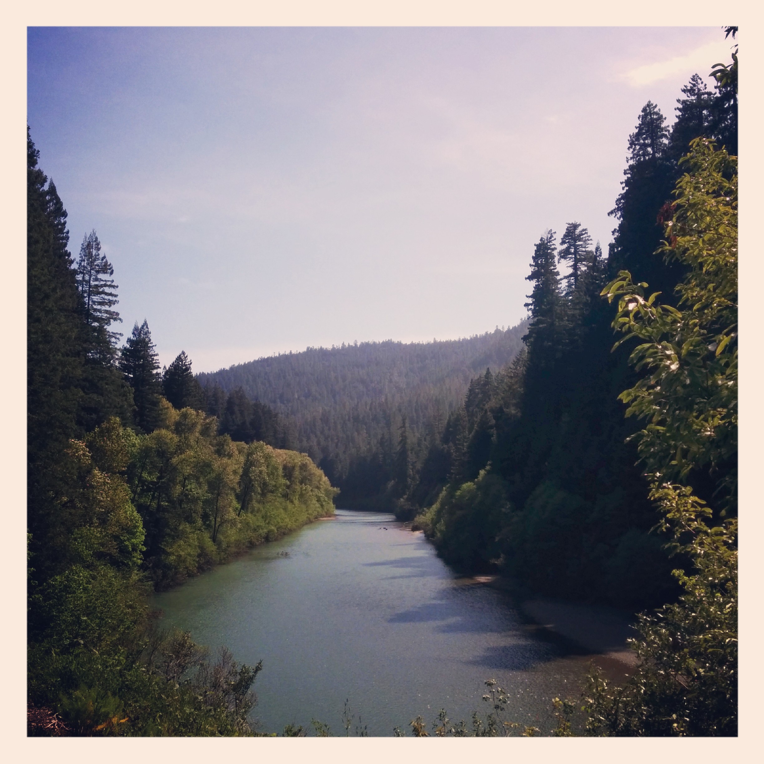 Then forest met up with the Eel River.