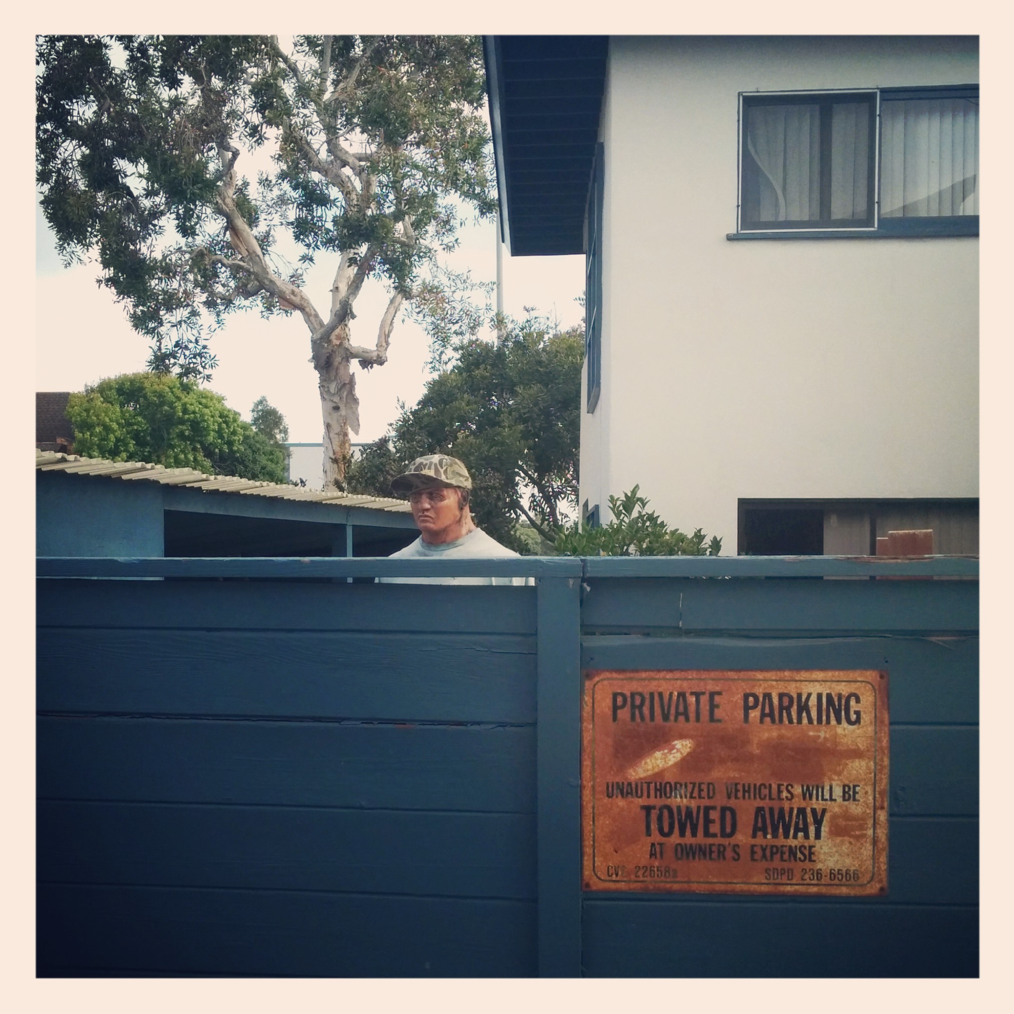 The neighborhood watch was in affect in Mission Beach. He must be protecting the coaster.