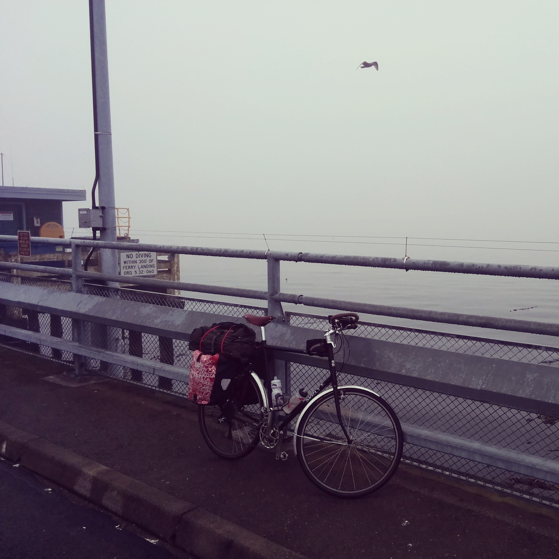 Waiting in Edmonds for the Ferry over to Kingston.
Thankfully it has stopped raining.