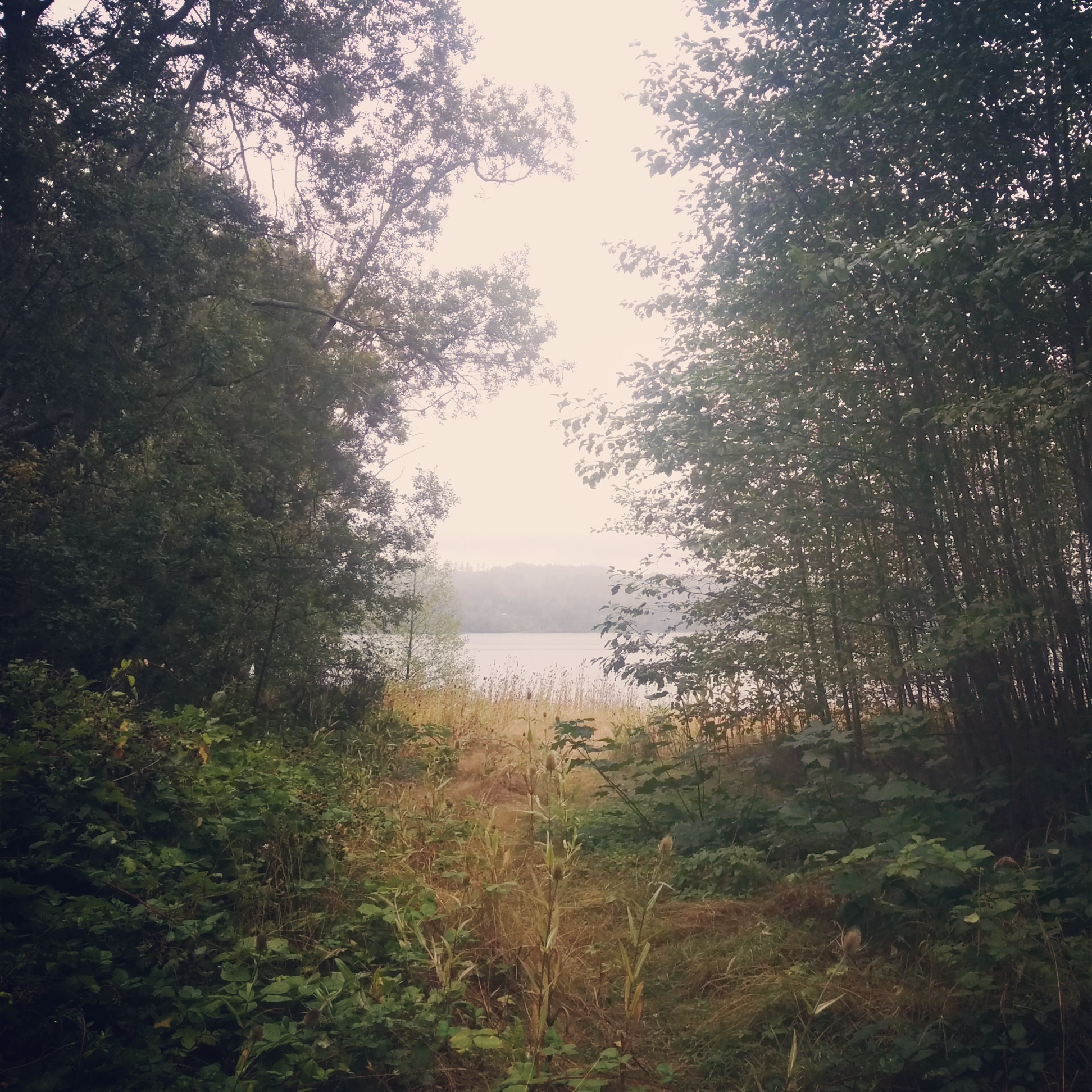 And here are a few pics from the ride up to Sequim Bay State Park where I camped for the night.