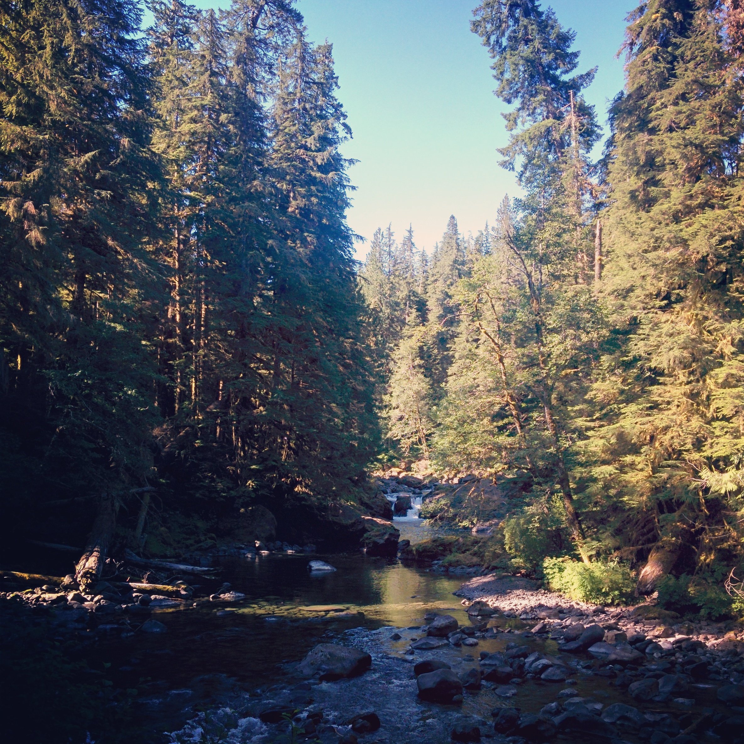 The road to Sol Duc Falls is just up from Lake Crescent and then 13 miles into the Olympics, which was a nice quiet and beautiful ride.