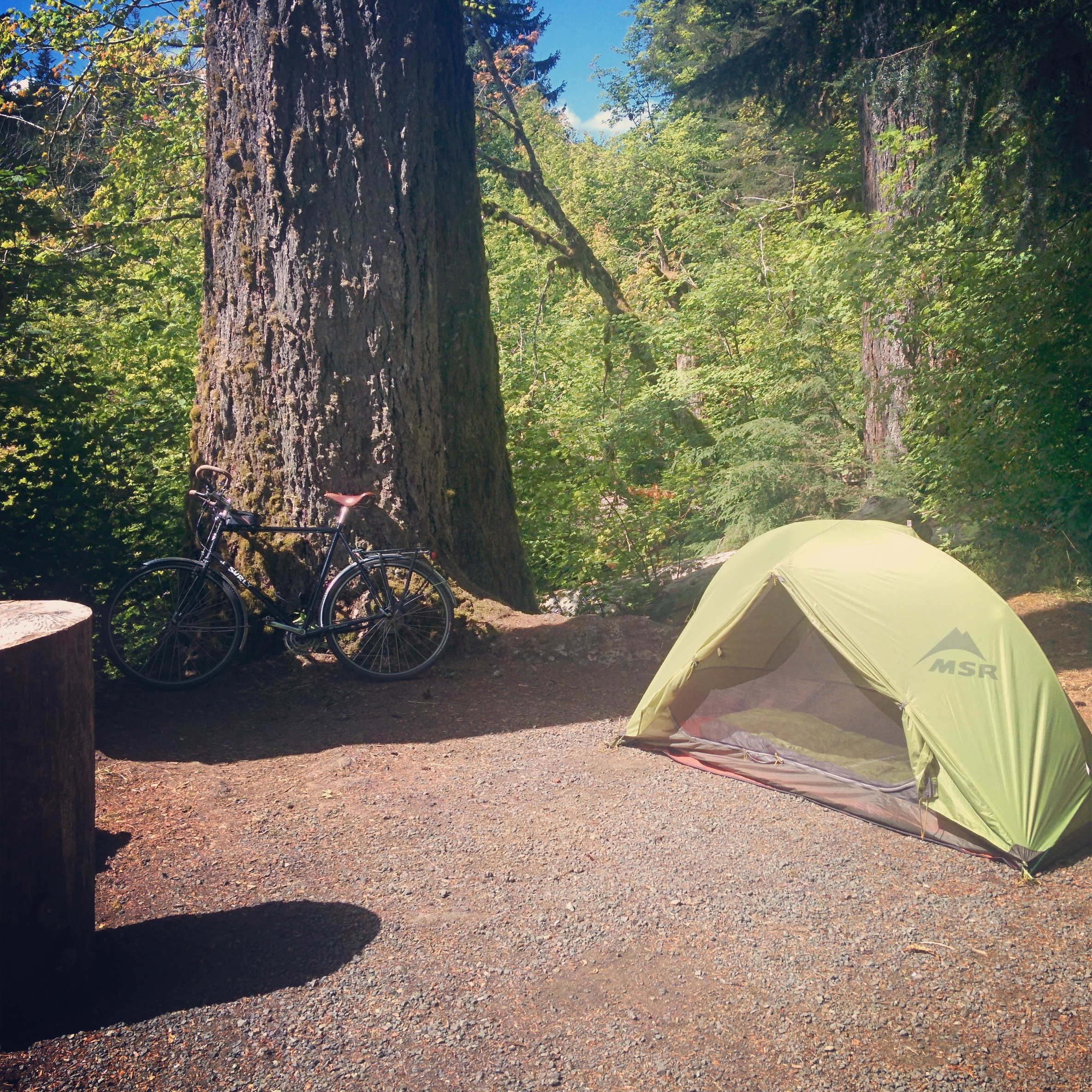 And my camp site at Sol Duc Falls