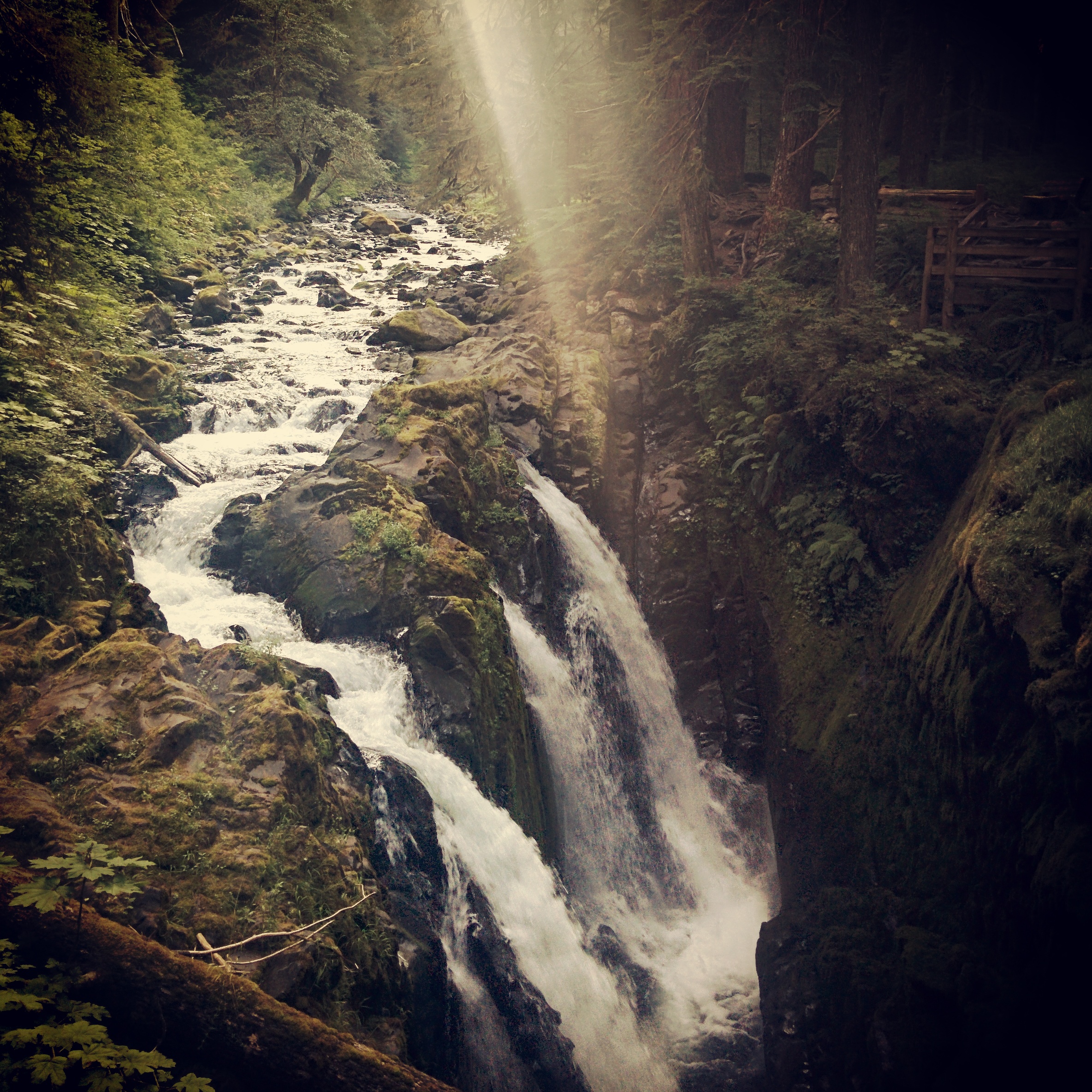 Olympic Peninsula 2014