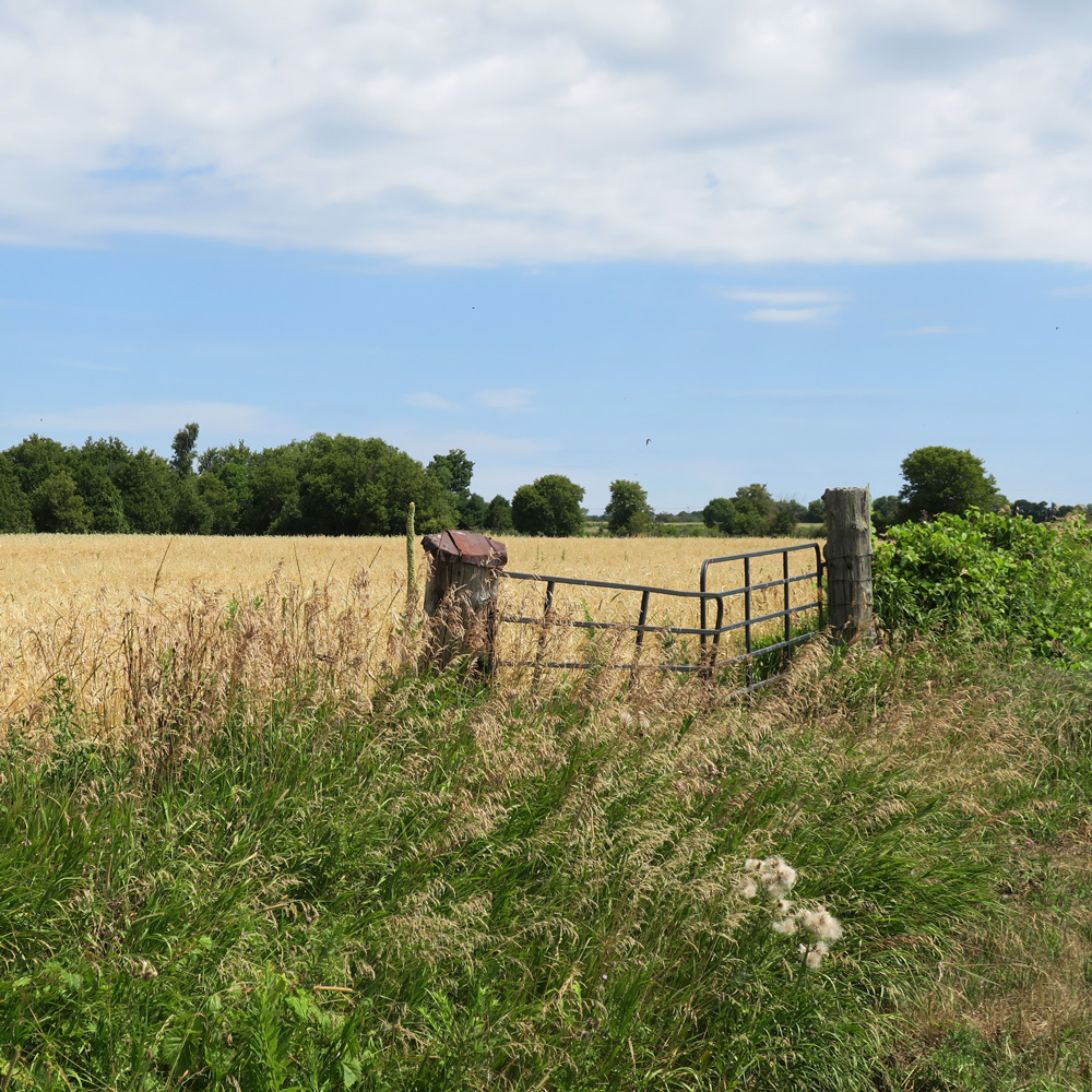 Day 84 Oshawa-Cobourg