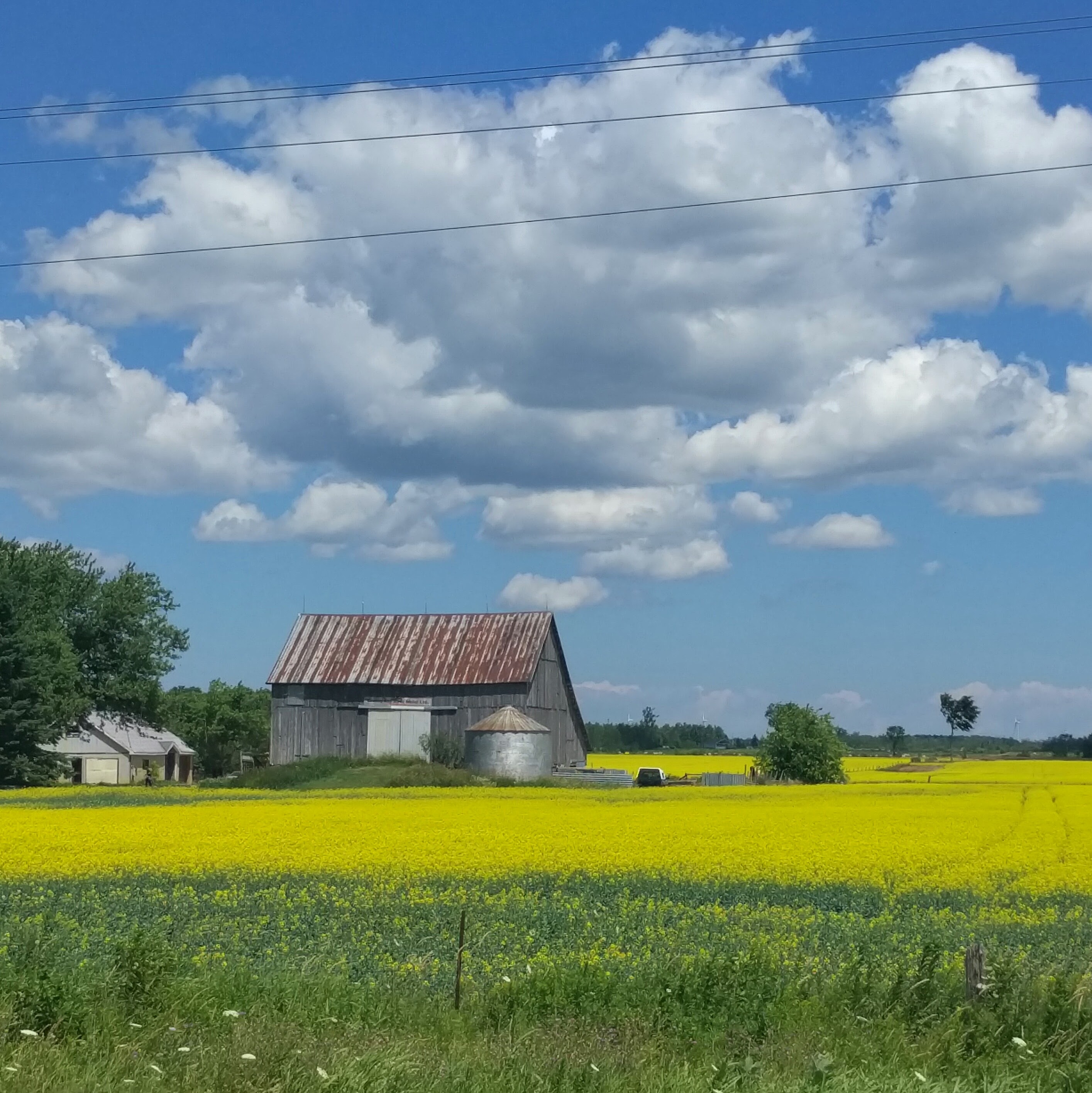 Day 78 Owen Sound-Orangeville