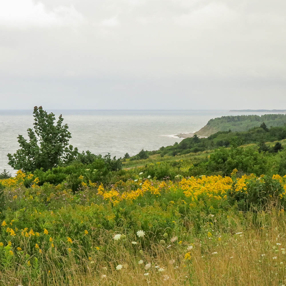 Days 114-117 Port Hood-Margaree Forks-North Sydney-Sydney