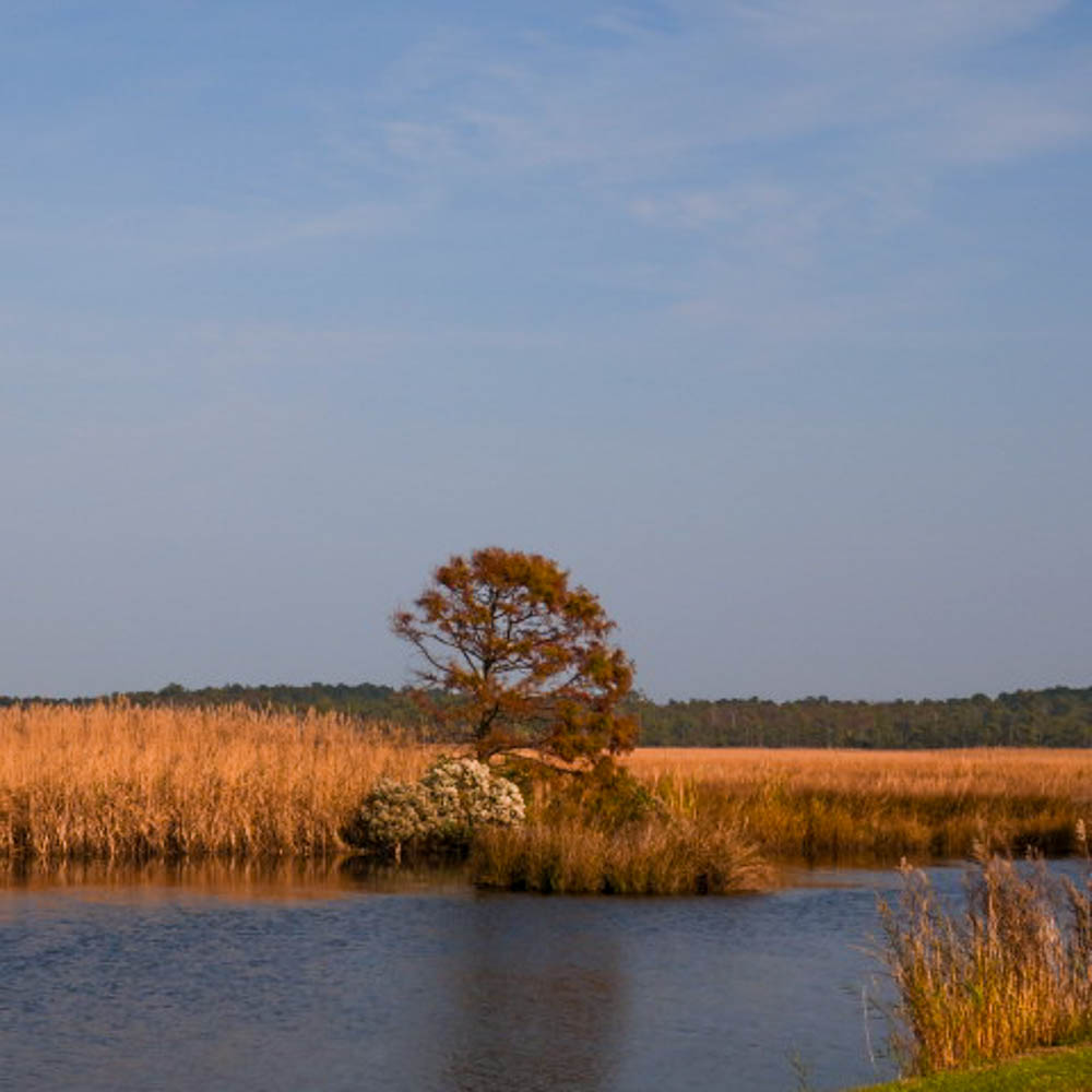 Day 181 Chesapeake, VA-Kitty Hawk, NC (Helping Hands)