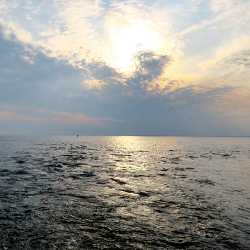 The view from the ferry to Currituck. Looks like rain