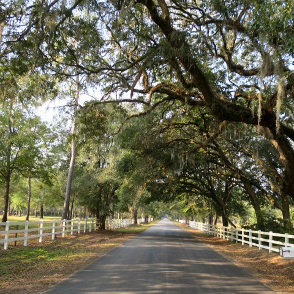 Days 189-191 Charleston, SC-Savannah, GA