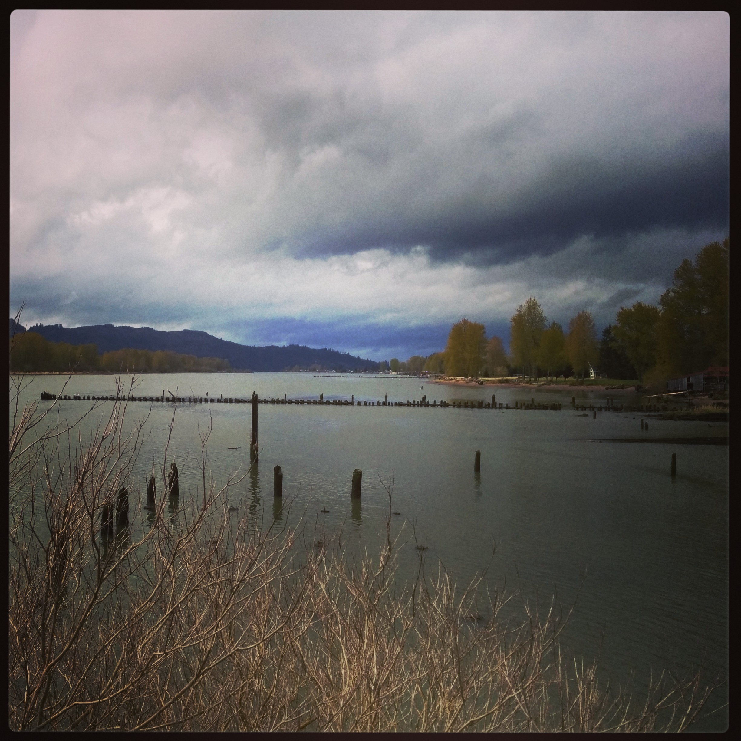 Here is the view while waiting for the ferry to get me to Oregon.