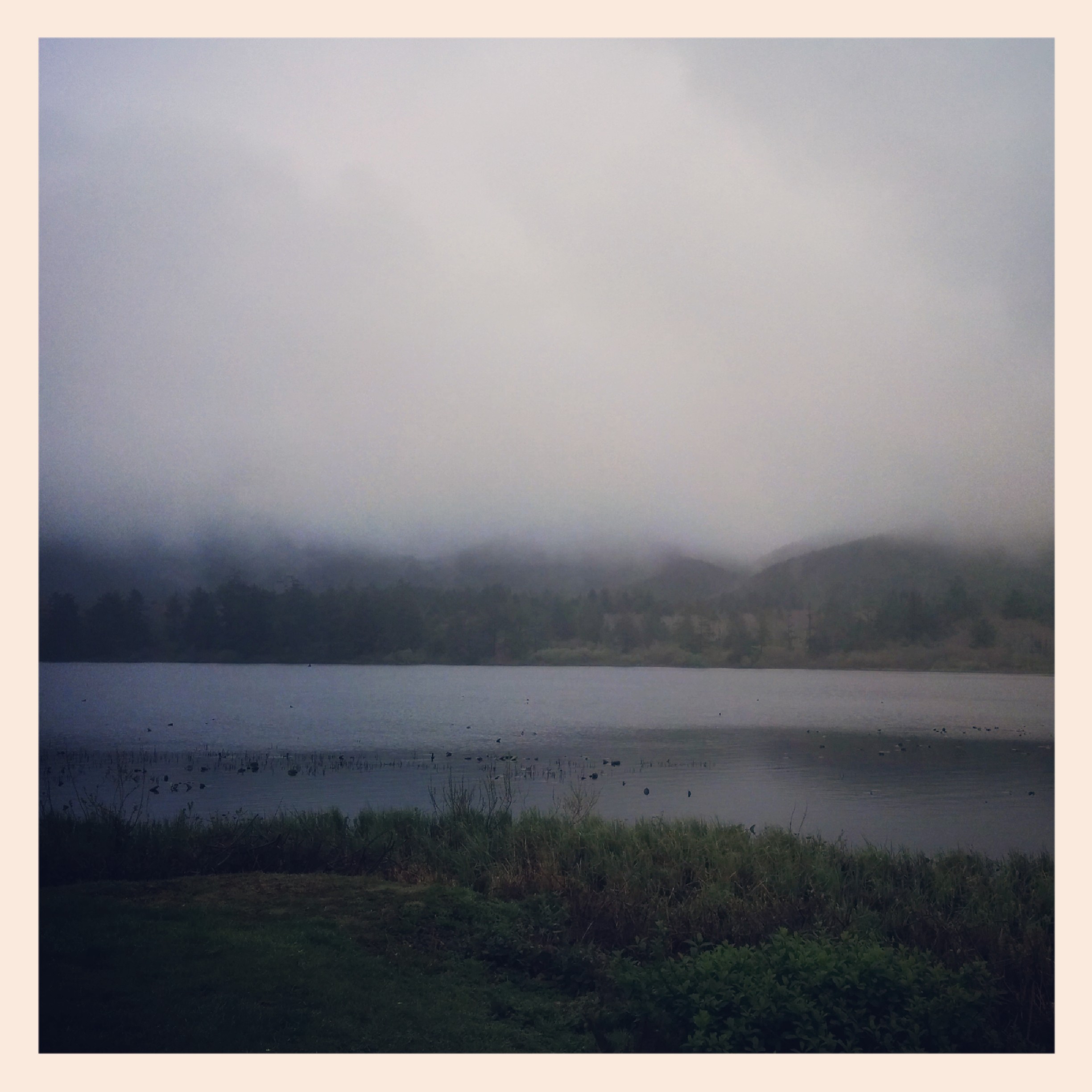 So I left! Here is a nice view of the Tillamook river as I was heading west.
