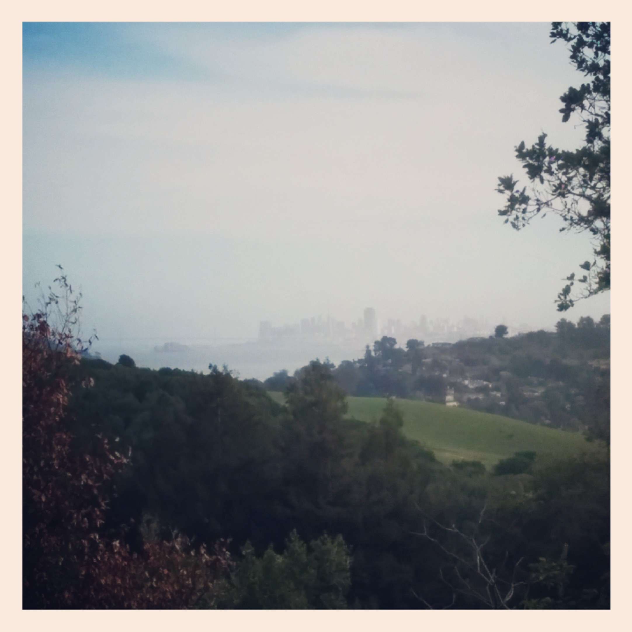 Hey look at that. My first peak of San Francisco.