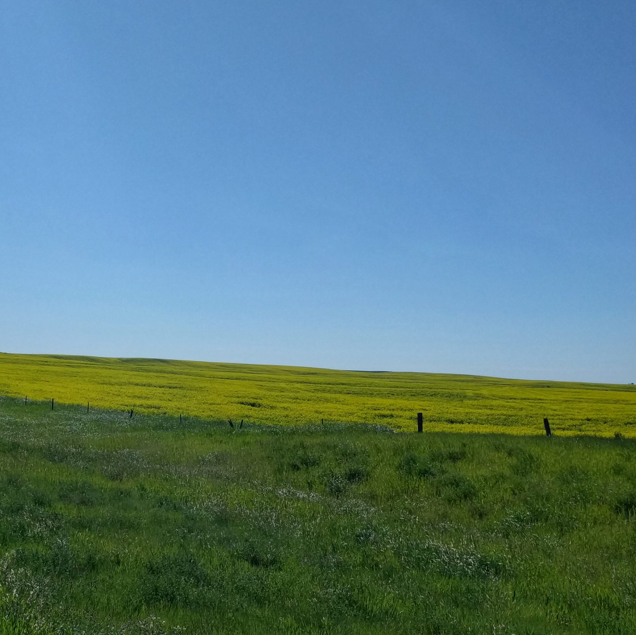 Day 42 Oyen-Kindersley